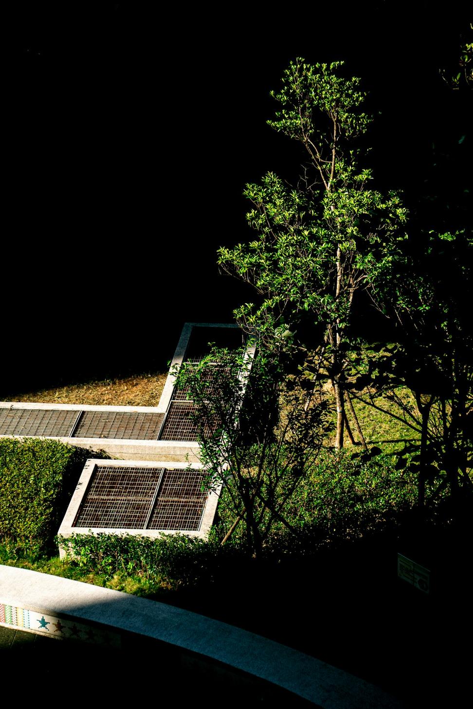 West Point Grey Net-Zero Home