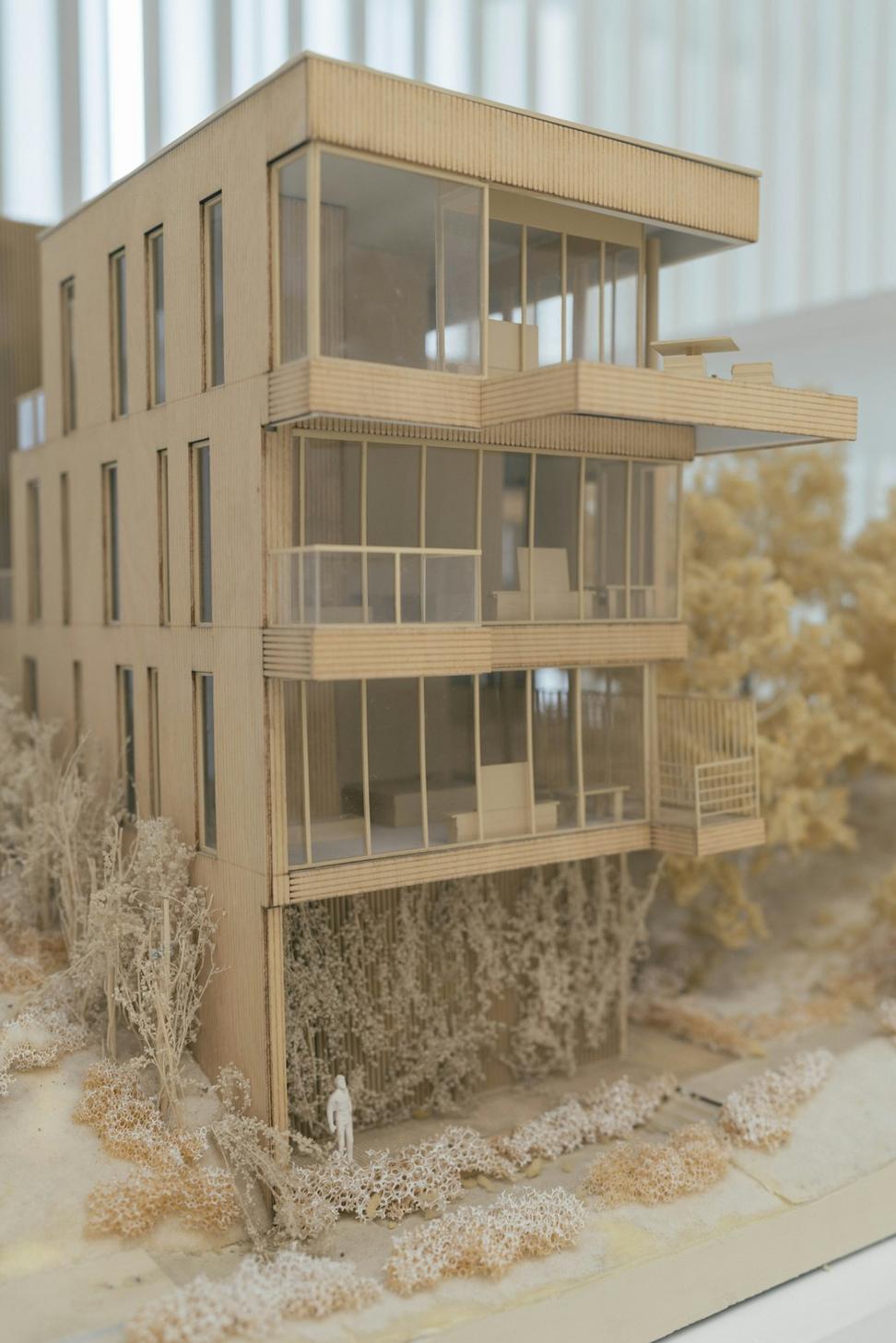 Architectural design consultation